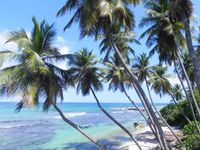 Dominican Republic - Beach, Palm trees, Ocean, Waves, Heaven